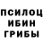 Псилоцибиновые грибы мицелий Tikalika Suzuki
