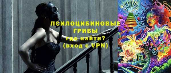 прущие крисы Алексеевка