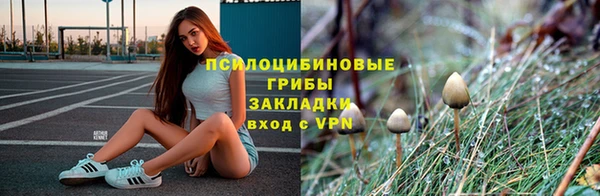 прущие крисы Алексеевка