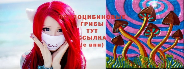 прущие крисы Алексеевка