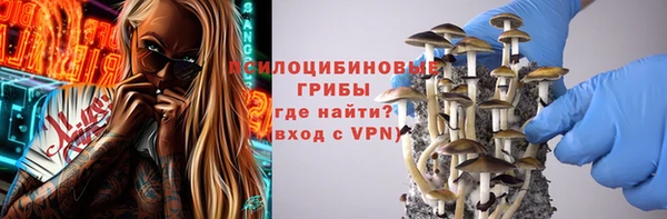 прущие крисы Алексеевка